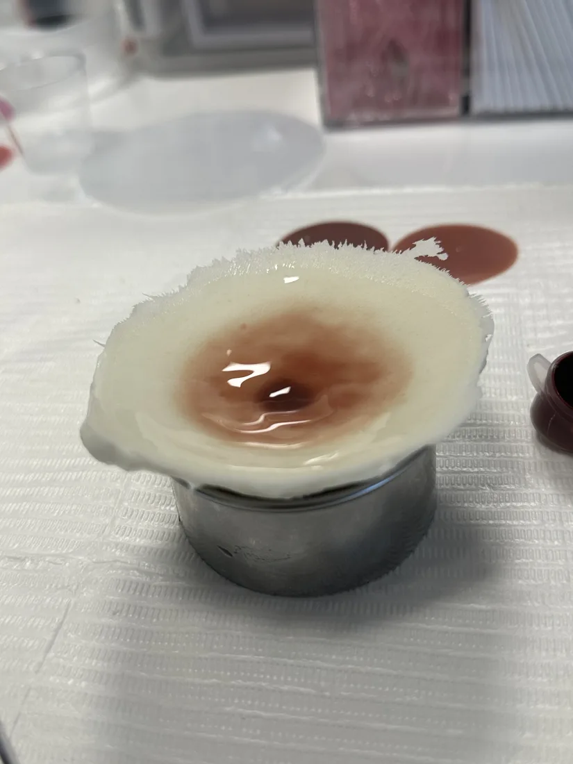 Aréole LM REPAIR qui sèche dans son moule
